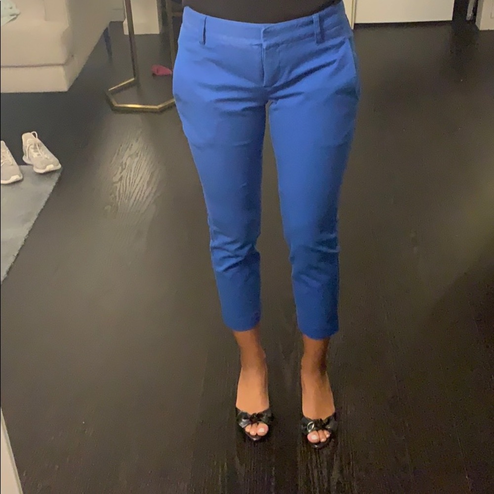 Theory Pants